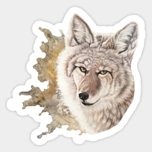 Coyote Sticker